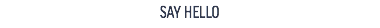 SAY HELLO